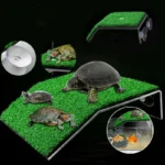 Plateforme pour Tortue Aquatique Flottante