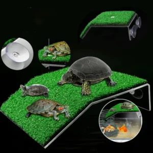 Plateforme pour Tortue Aquatique Flottante