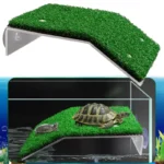 Plateforme-pour-Tortue-Aquatique-avec-ventouse