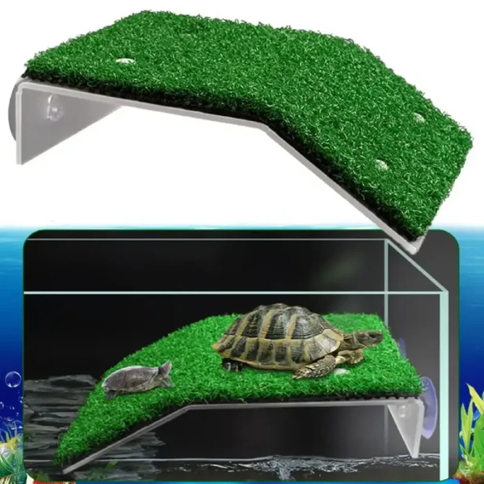 Plateforme-pour-Tortue-Aquatique-avec-ventouse