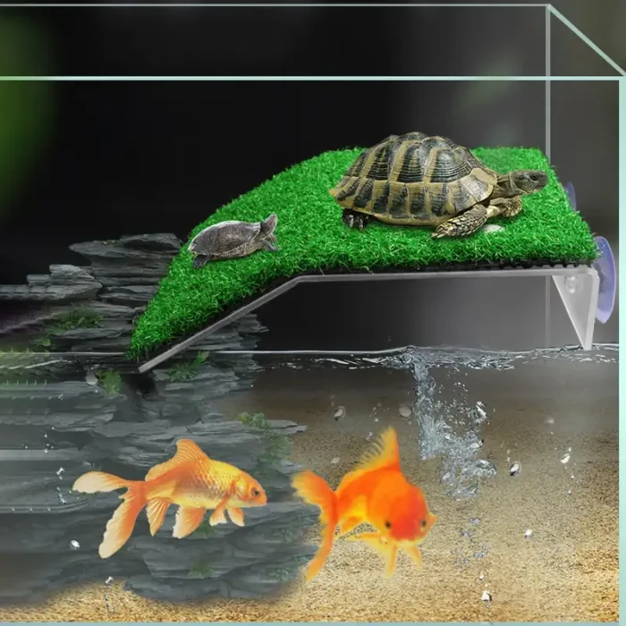 Plateforme-pour-Tortue-d-eau-gazonante