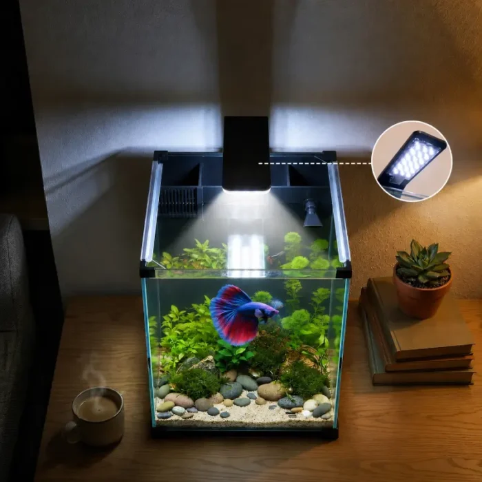 aqaurium-40l-betta-led