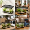 aquarium-10l-crevettes-d-eau-douce