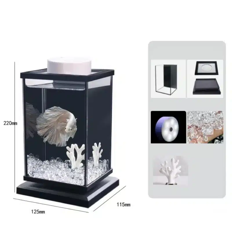 Aquarium 3 Litres Combattant kit complet