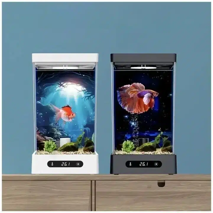 Aquarium 3 Litres Combattant avec chauffage 