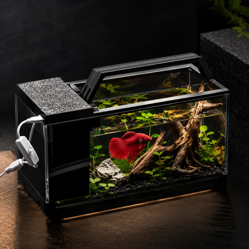aquarium-pour-beta-7-litres-avec-filtre-et-chauffage