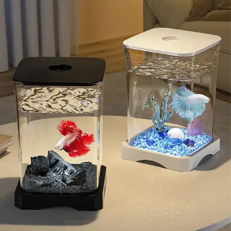 aquarium-pour-combattant-2-litre-avec-couvercle