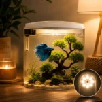 aquarium-pour-combattant-5-litres-led