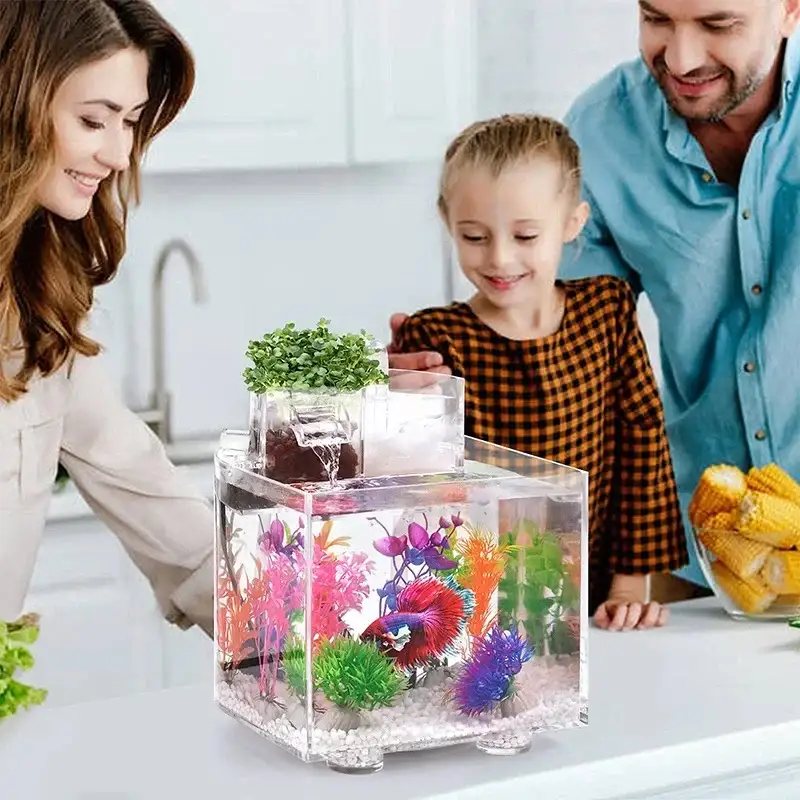 Aquarium pour Beta 7 Litres : Quel Choisir