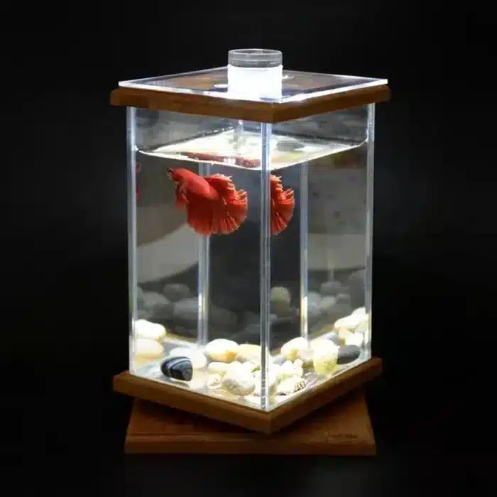 Aquarium 3 Litres Combattant modèrne 