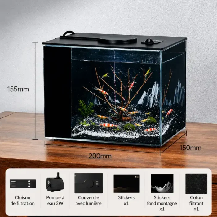 crevette nano aquarium eau douce