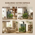 meilleur-Nano-Aquarium-40L-Poisson-Equipe