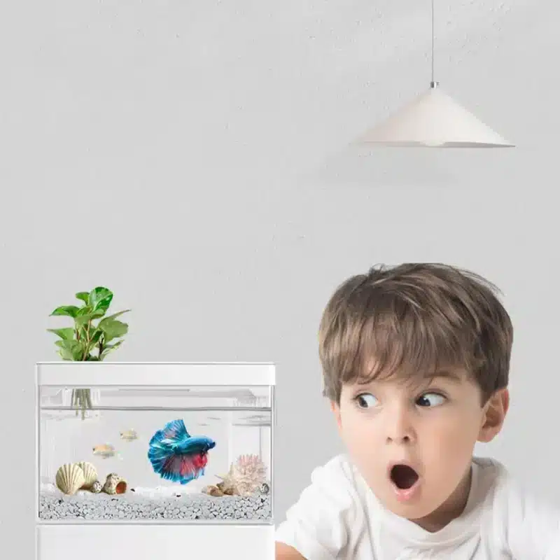 Aquarium 3 Litres Combattant usb