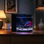 nano-aquarium-5l-combattant-avec-pompe
