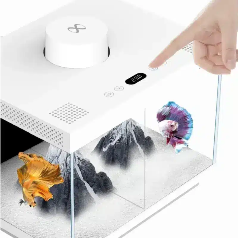 Aquarium pour Beta 7 Litres : Quel Choisir