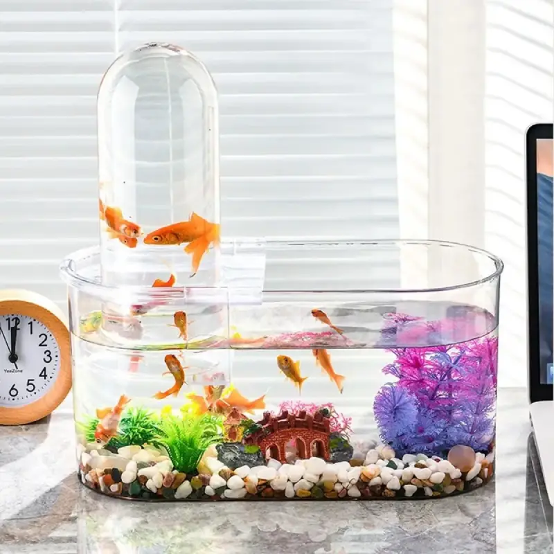 aquarium combattant 6l avec dome