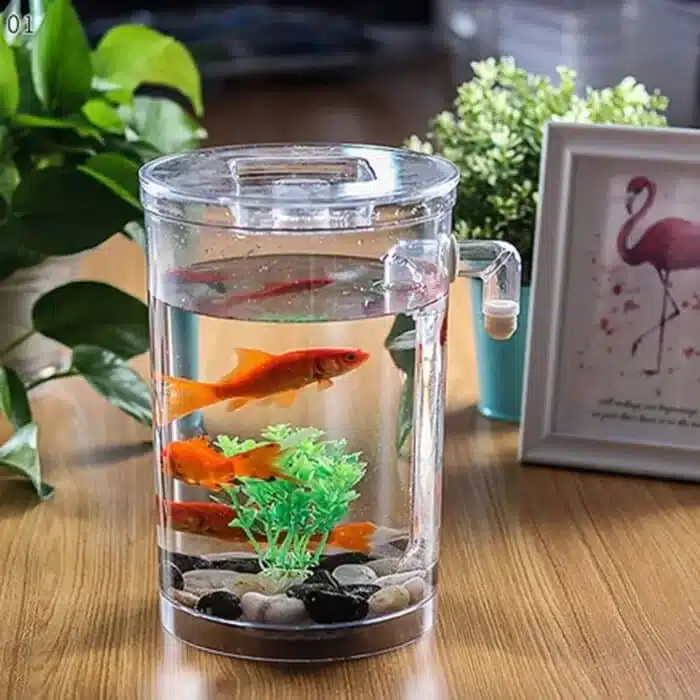 un aquarium 2l combattant rond