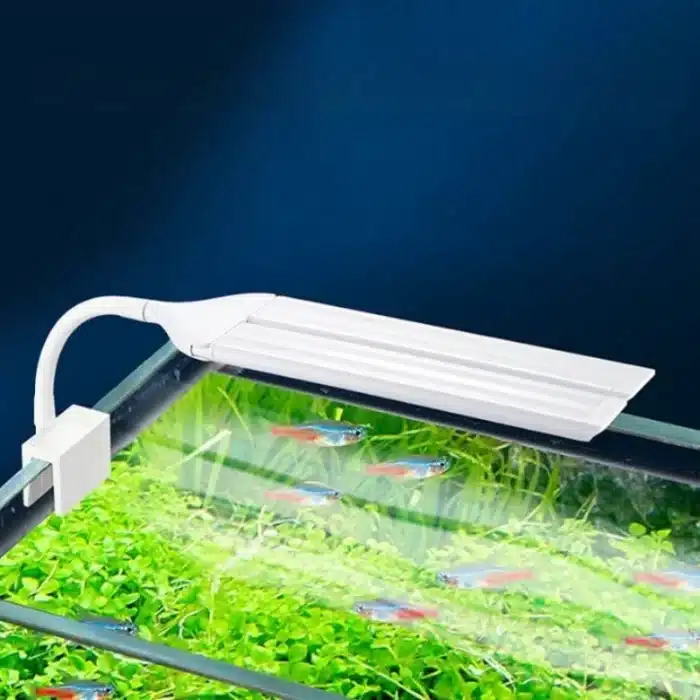 Eclairage-Aquarium-100L-LED