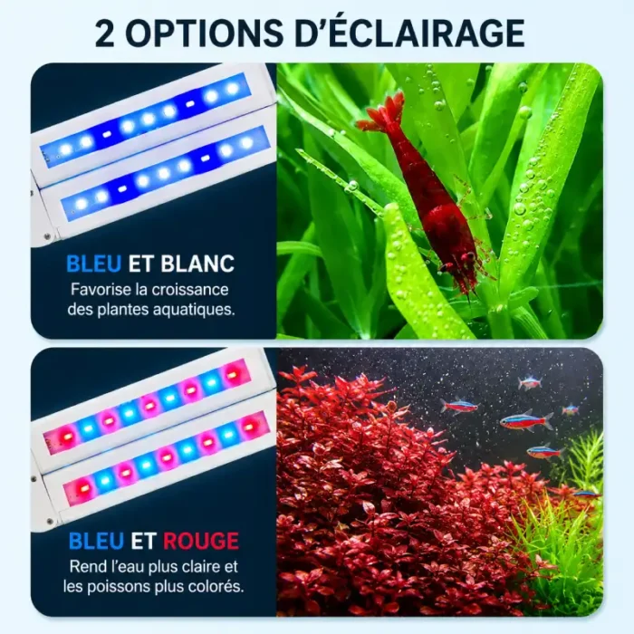 Eclairage-Aquarium-100L-LED-plante
