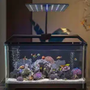 Eclairage-Aquarium-50l