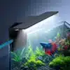 Eclairage-Aquarium-30L-nano-betta