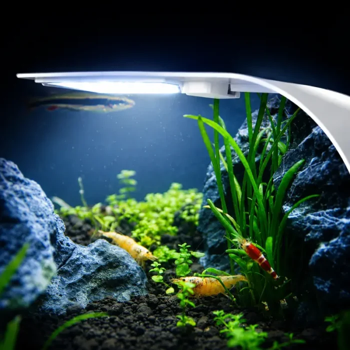 Eclairage-LED-Aquarium-60L- elegant