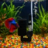Eponge Filtre Aquarium Douce betta