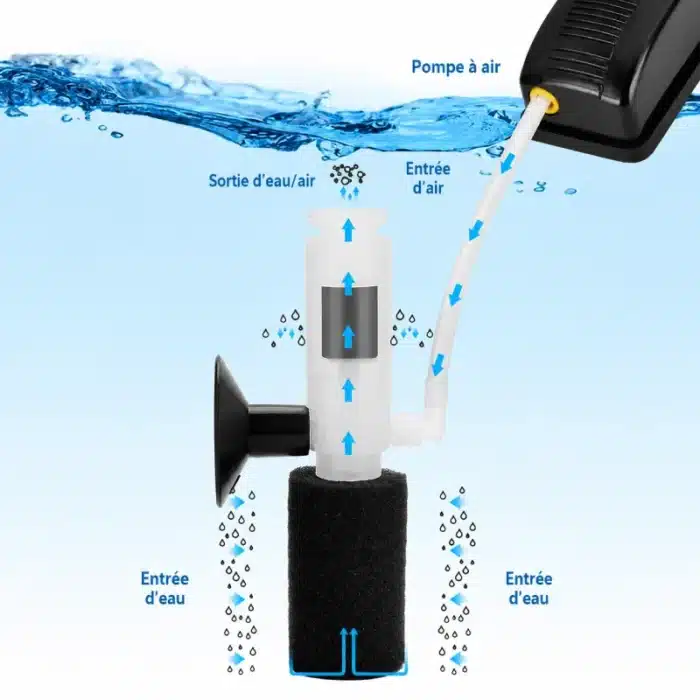 Filtre-a-Air-pour-Aquarium-eponge-20l