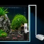 Filtre-a-Air-pour-Aquarium-eponge-crevettes