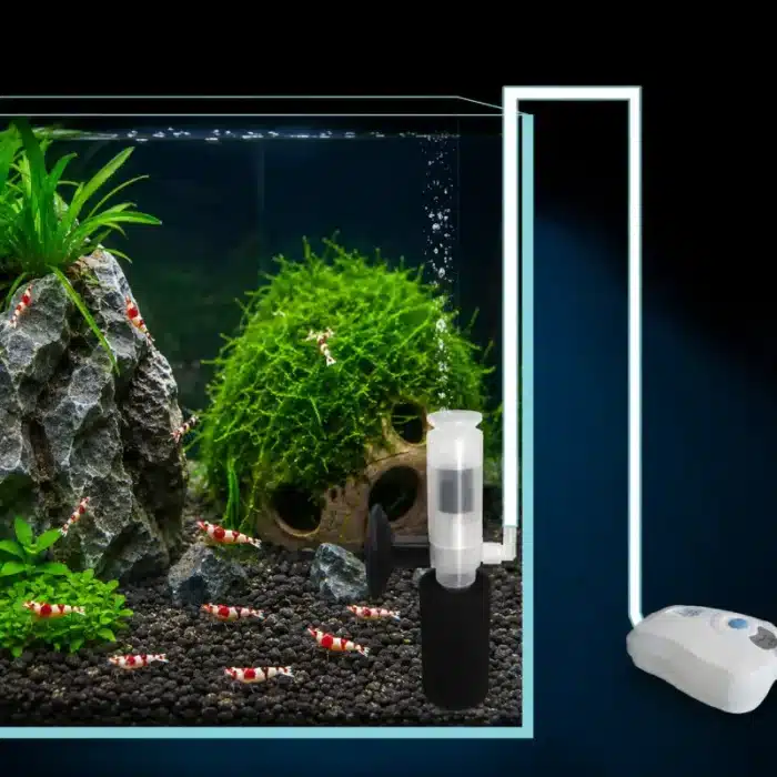 Filtre-a-Air-pour-Aquarium-eponge-crevettes