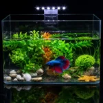 Lampe-Nano-Aquarium-30L