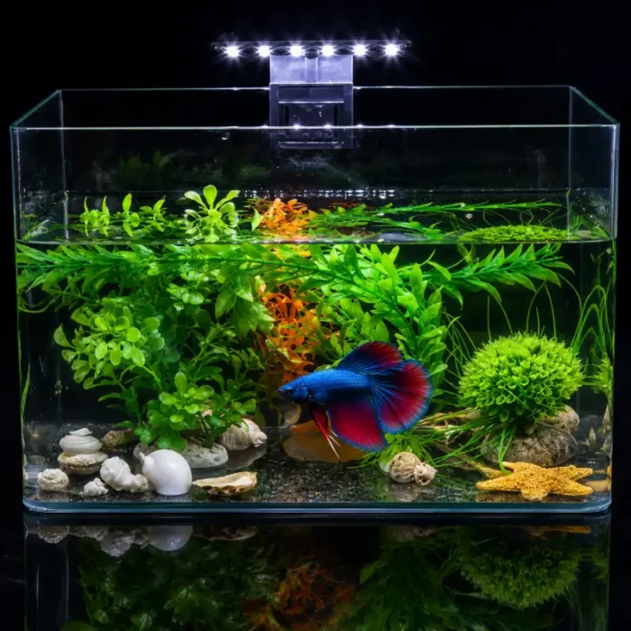 Lampe-Nano-Aquarium-30L