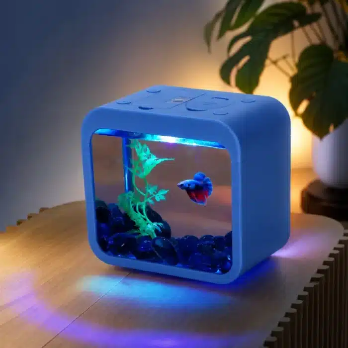 Mini-Aquarium-1L-Cube-bleu