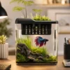 Petit Aquarium 3L avec Couvercle