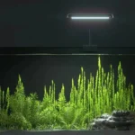 aquarium-40l-eclairage-a-clipser