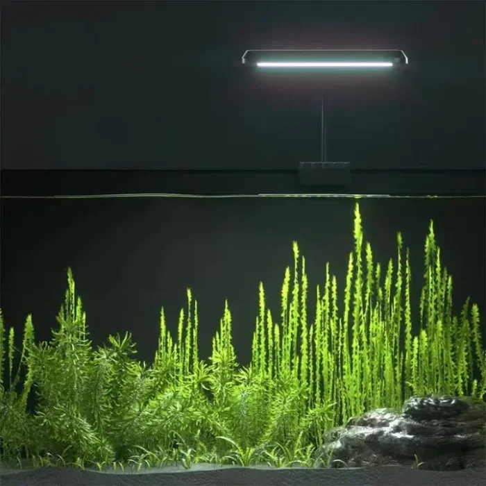 aquarium-40l-eclairage-a-clipser