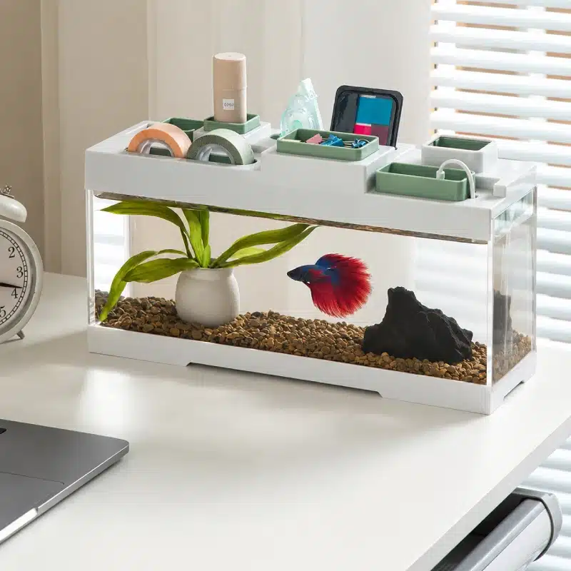 aquarium-betta-8l-de-bureau