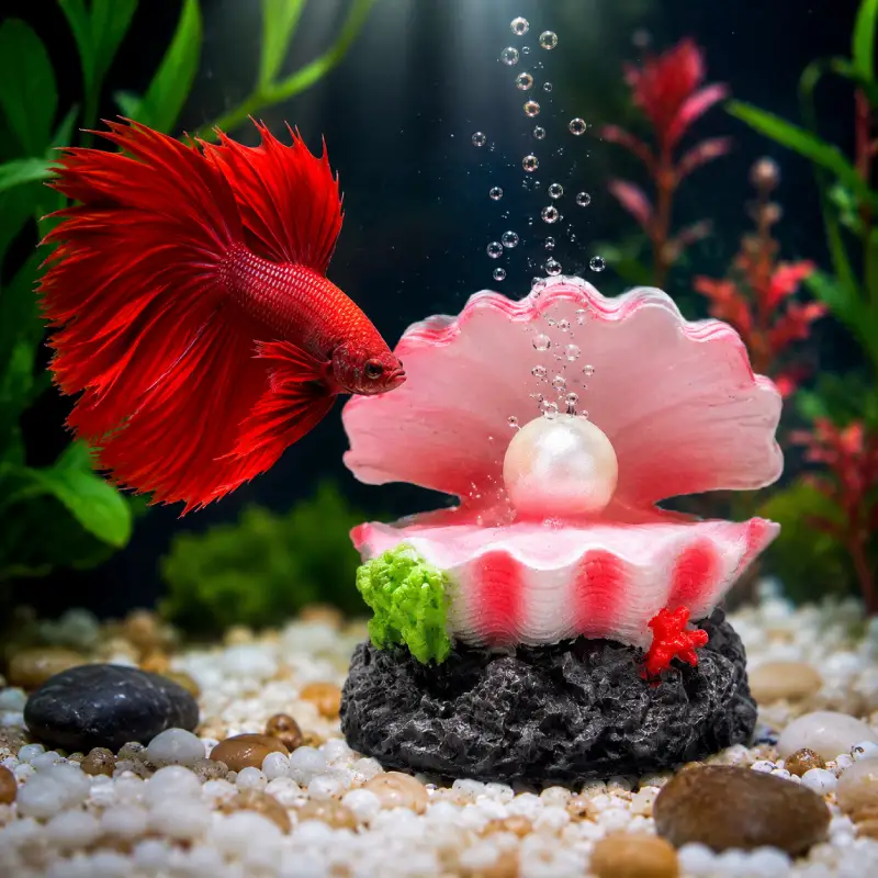 decoration-pour-petit-aquarium -10l-avec-combattant-huitre                                               