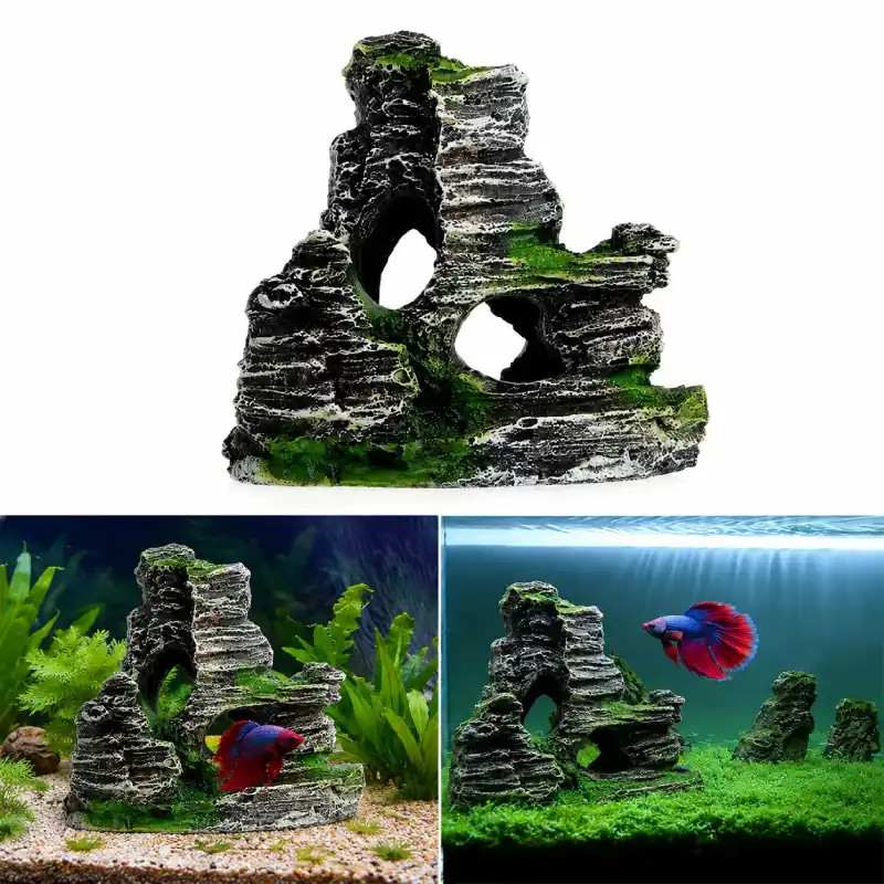 decoration-pour-petit-aquarium -10l-avec-combattant-montagne                          