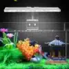 eclairage-Nano-Aquarium-20L-LED