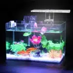 eclairage-aquarium-30l-poissons