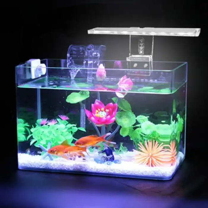 eclairage-aquarium-30l-poissons