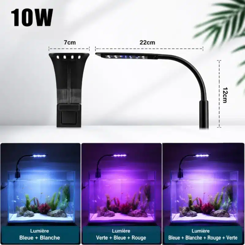 Eclairage LED Aquarium 60L Élégant