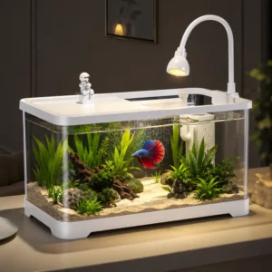 kit-Aquarium-10L-betta-en-plastique