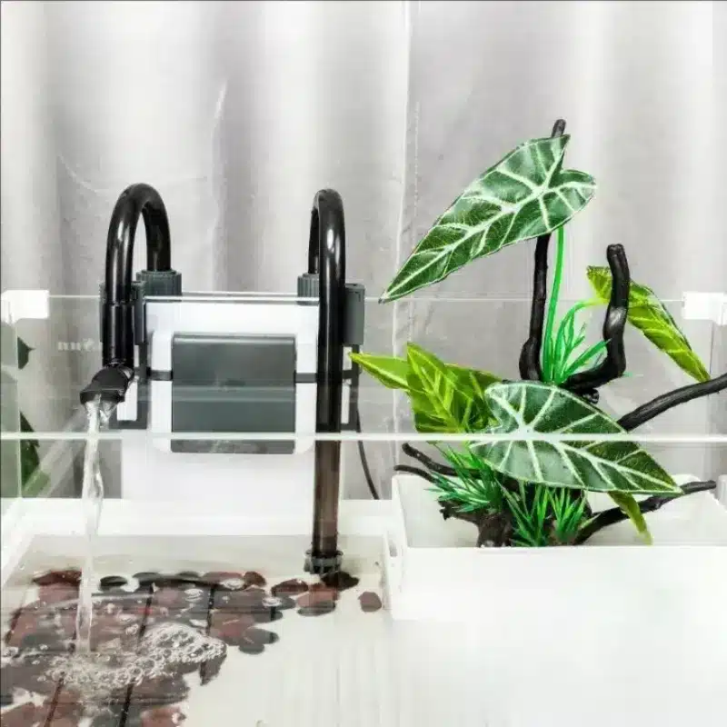 Pompe et Filtre pour Aquarium Nano 50L : Comment Bien Choisir
