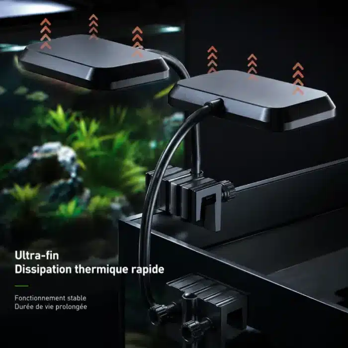 lampe-aquarium -40l-plante