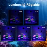 lampe-aquarium -ecifal-reglable