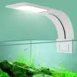 petit-Eclairage-LED-Aquarium-60L-poissons