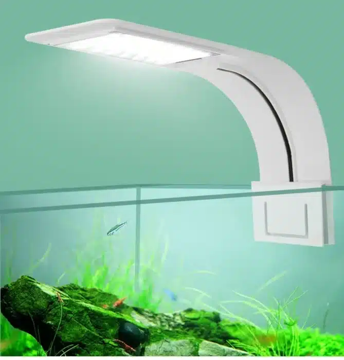 petit-Eclairage-LED-Aquarium-60L-poissons
