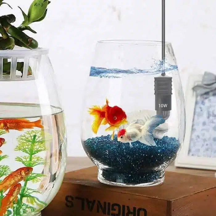 petit-chauffage-aquarium-10l-pour-combattant
